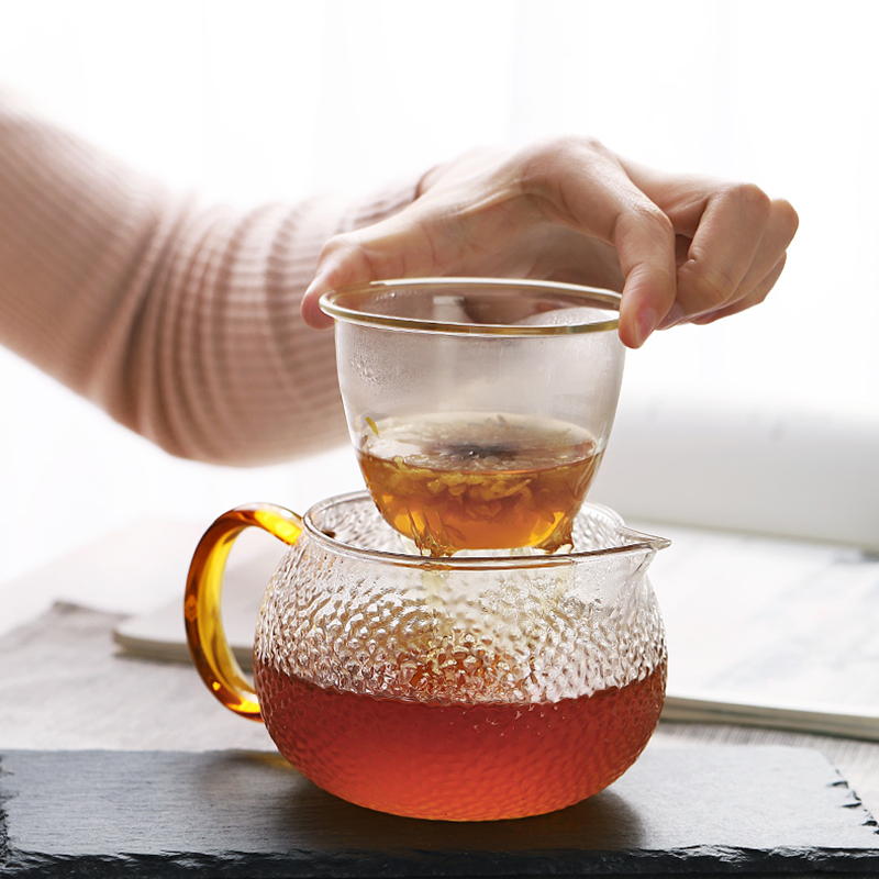 Taza de té de vidrio con tapa con mango infusor, tetera con filtro de botella de té, escamas de pescado innovador de borosilicato resistente al calor, 300ML, 500ML