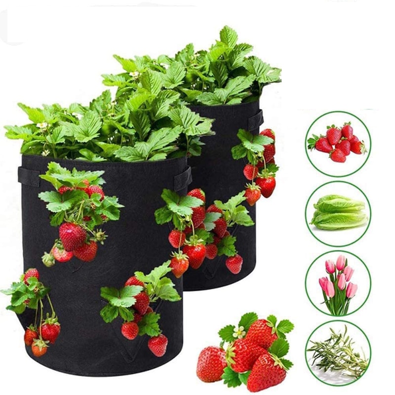 Portable Potato Growing Bag Home Balcony Garden Plant Bag with Handles Access Flap Potato Cultivation Grow Bags Growing kit