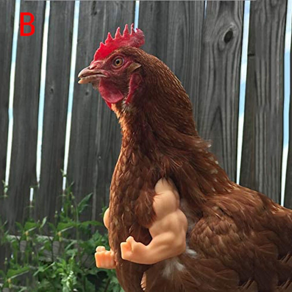 Juguete para manos de pollo, de broma, casco para gallinas, decoración divertida de aves, músculos, juguetes con brazos: B