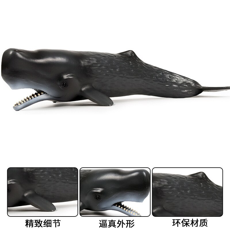 24*8*5CM Children Cognitive Simulation Solid Sperm Whale Marine Life Animal Toy Plastic Static Model