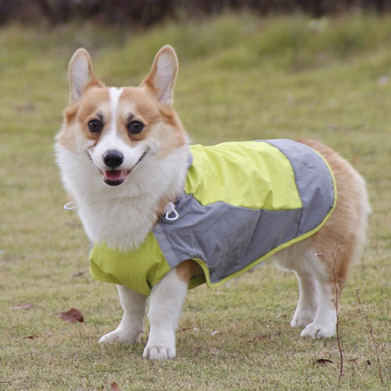 Waterproof Dog Raincoat Spring Outdoor Dog Jacket for Medium Large Dog Reflective Adjustable Hooded Pet Mountain Wear Breathable