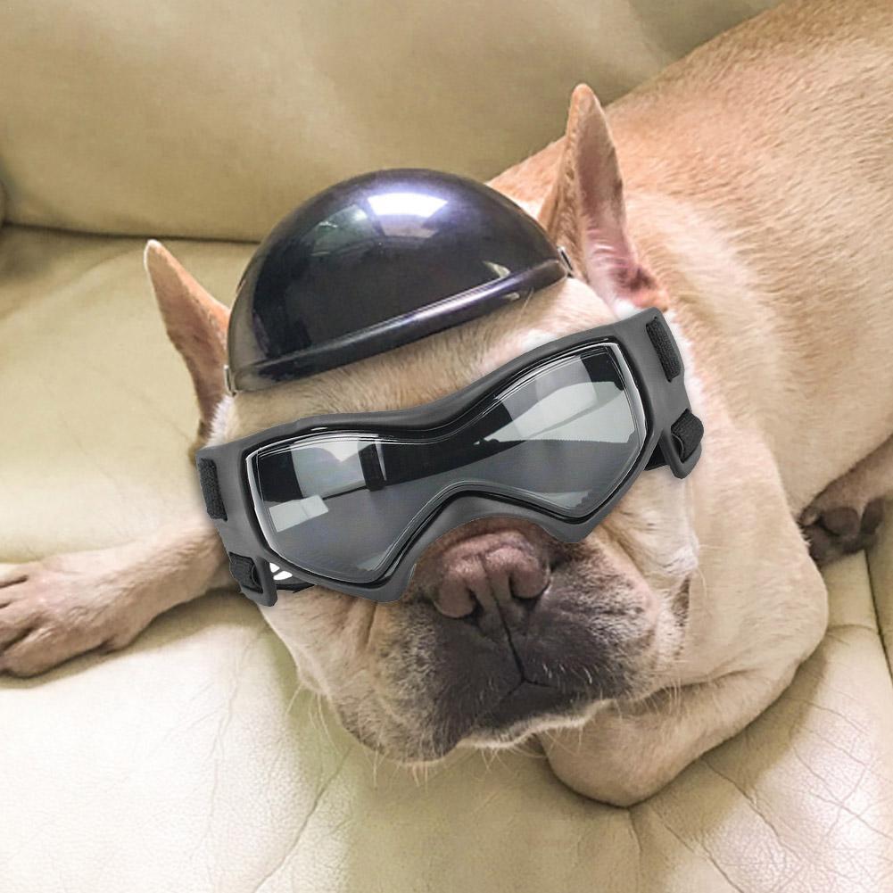 Conjunto de casco con gafas para mascotas, divertido gorro de motocicleta para perros pequeños y medianos, Bulldog Francés, accesorios de disfraces de verano
