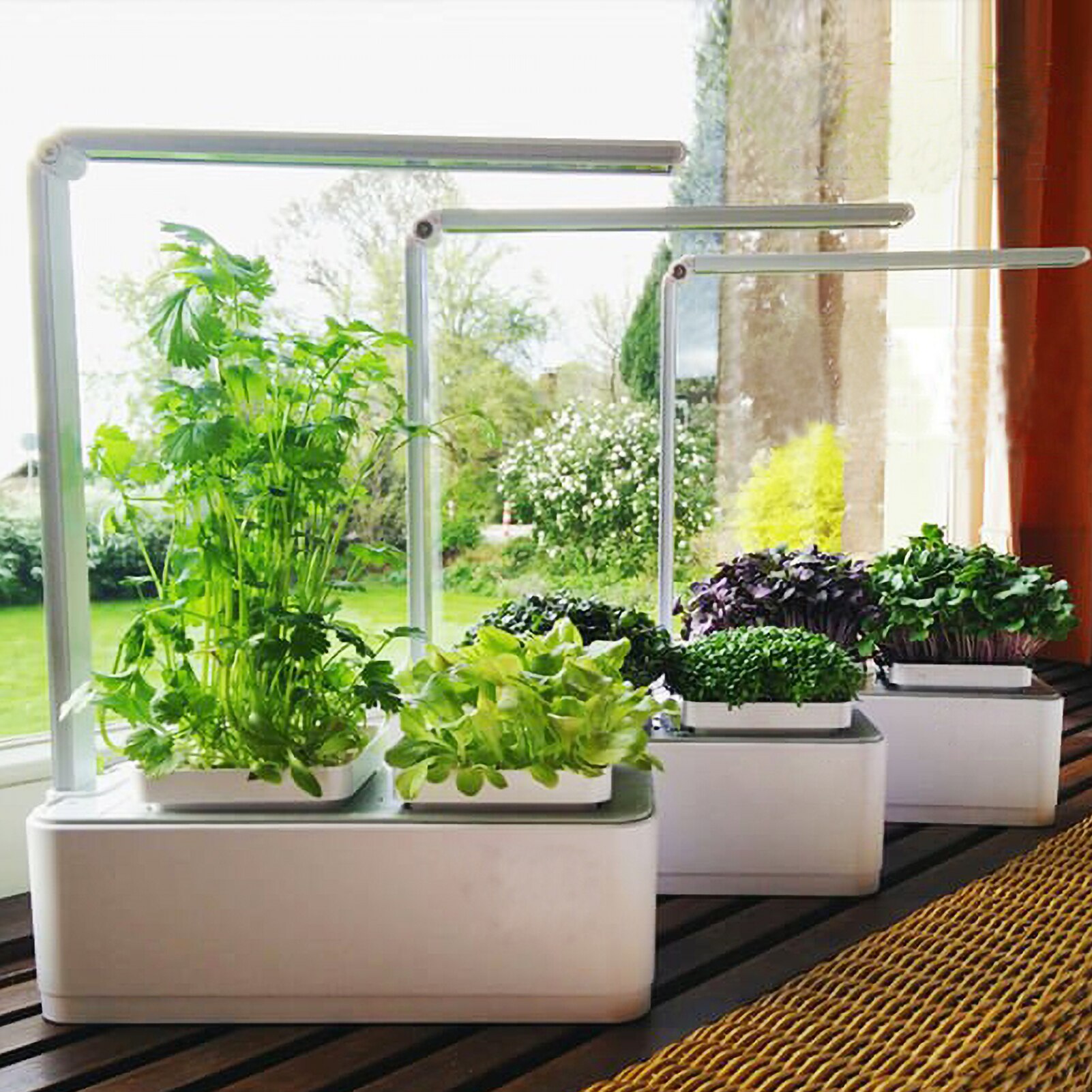 Hydroponics Growing System with LED Grow Light Indoor Garden Starter Kit Plant Germination Kits 2 Plant Pots for Home Gardening
