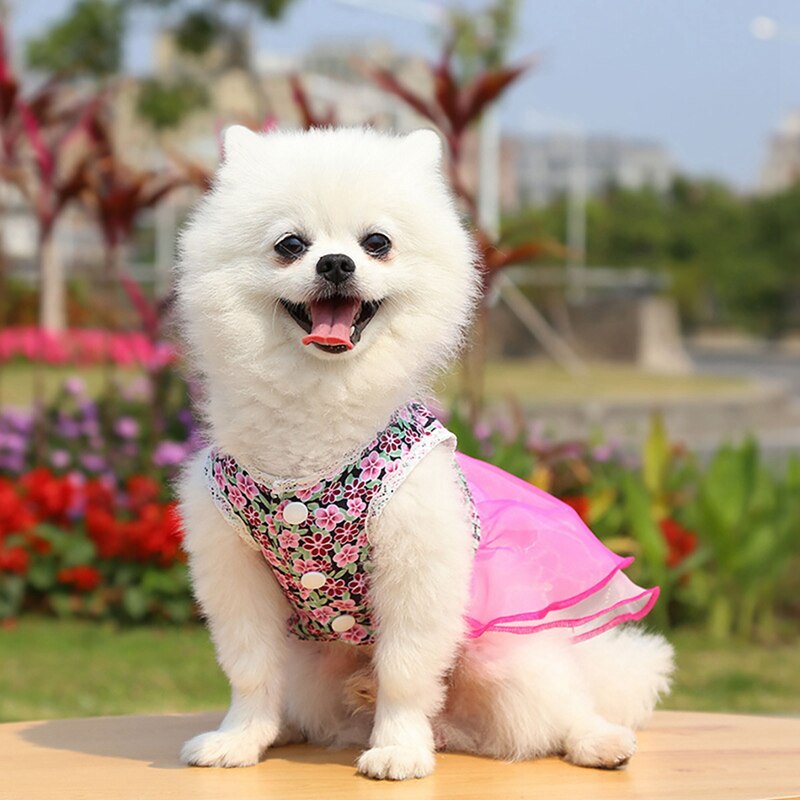 Pet Prinses Rok Bloem Leuke Bloemen Kant Rok Pet Puppy Dress Pet Kleding Kitten Kleding