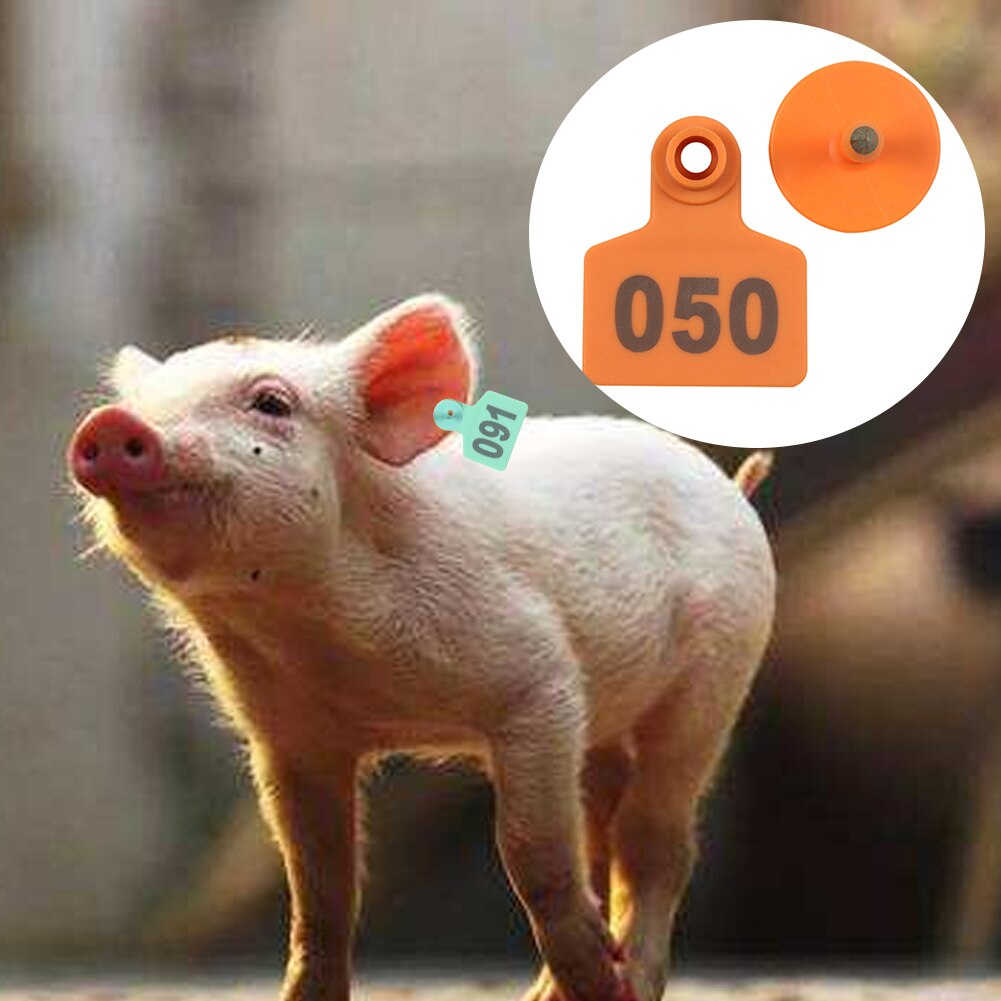 No Fading Practical Animal Slaughterhouse Anti Rot Identification 1 To 100 Distinguishable With Number Pig Ear Tag Removable