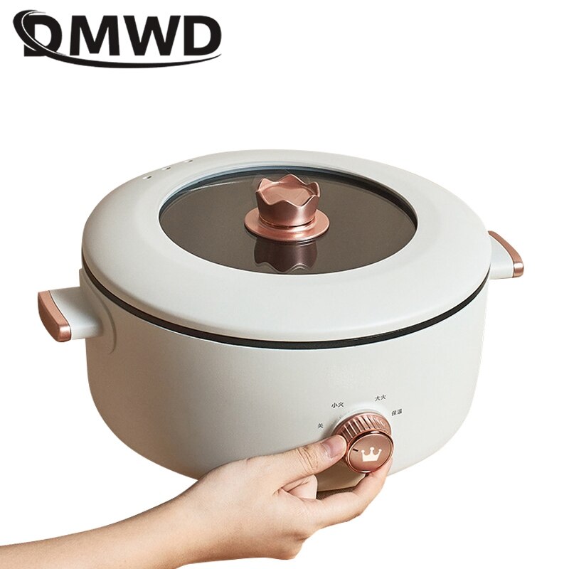 DMWD 3L Multifunction Electric Cooker Mini Skillet Non-stick Food Steamer Frying Boiling Stewing Pot Pot Noodles 220V
