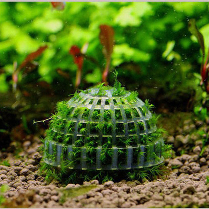 Nyeste 5cm akvarie akvarium medier mos kugle levende plante filter filtrering nyeste indretning