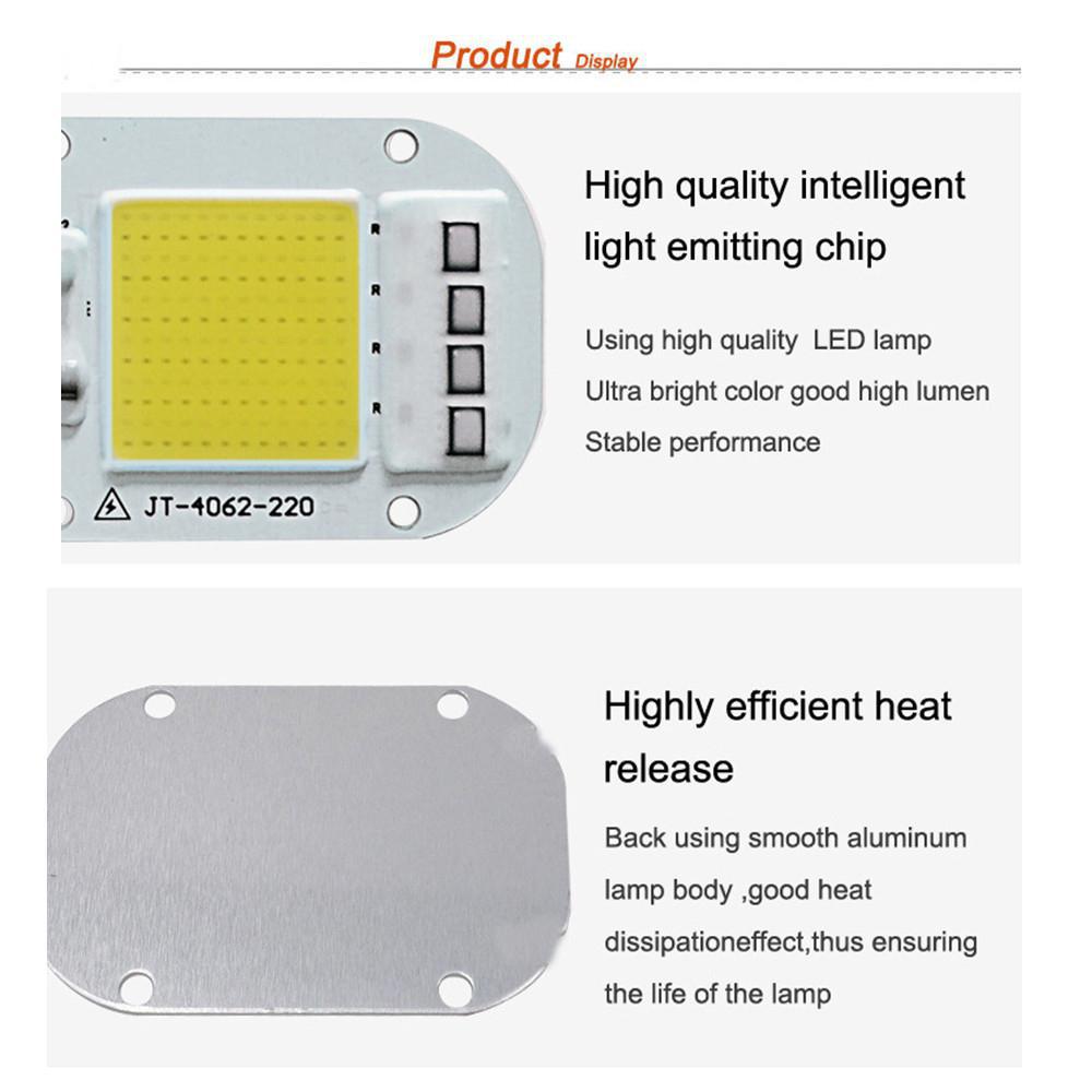 Ac 220V 20W/30W/50W Gratis Driver Cob Lichtbron Hoge Druk Led Chip