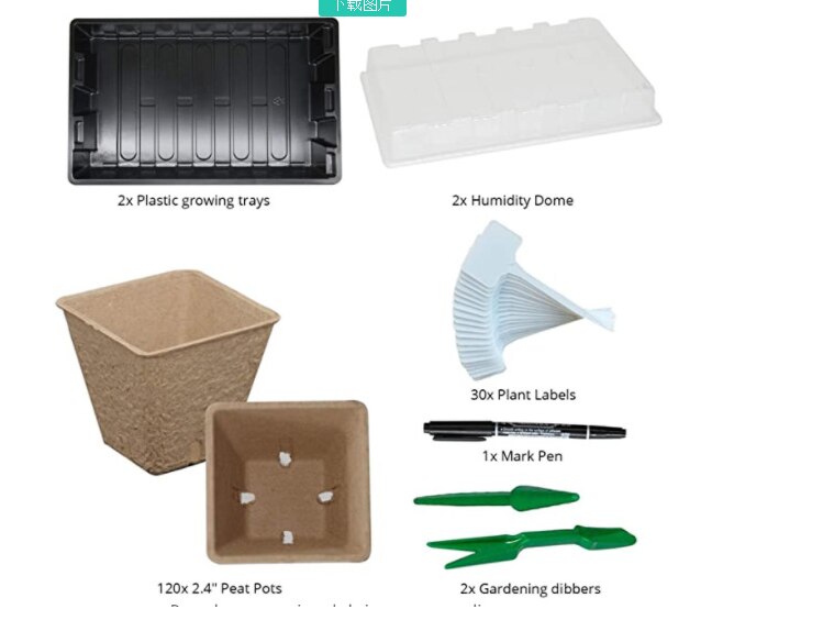 Seedling Tray Set with Transparent Lid Plant Germination Healthy Plastic Accessory