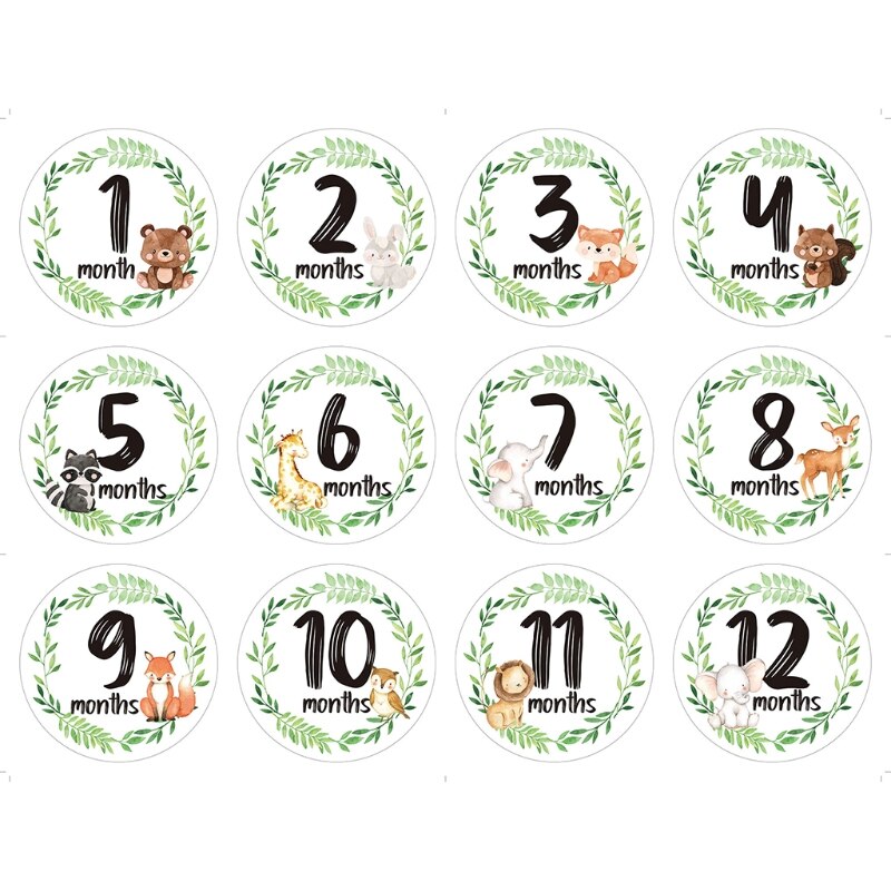 24 Stks/set Pasgeboren Baby Maandelijkse Stickers Baby Zwangere Maandelijkse Foto Sticker: 7HH104250