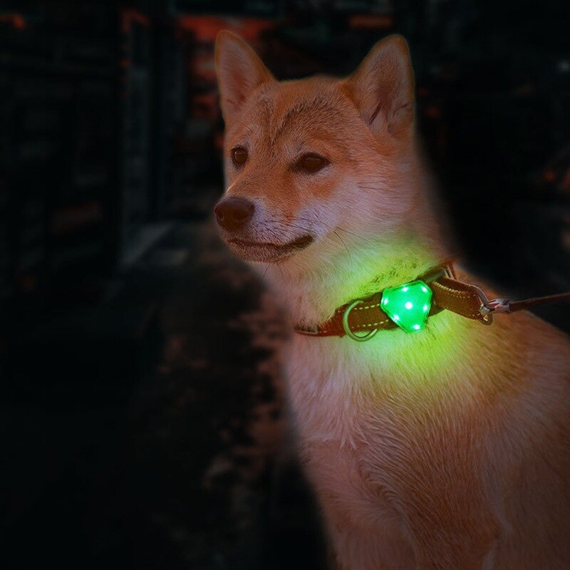 Led Huisdier Halsband Gloeiende Hanger Night Veiligheid Pet Leads Ketting Usb Oplaadbare Lichtgevende Heldere Halsbanden Voor Honden Accessoires