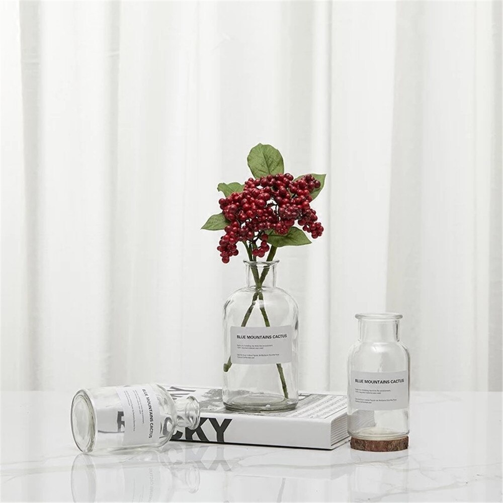 Transparent Glass Storage Jars Chic Dry Flower Vase Scandinavian Fresh Floral Container Desktop Decor Organizer Jar