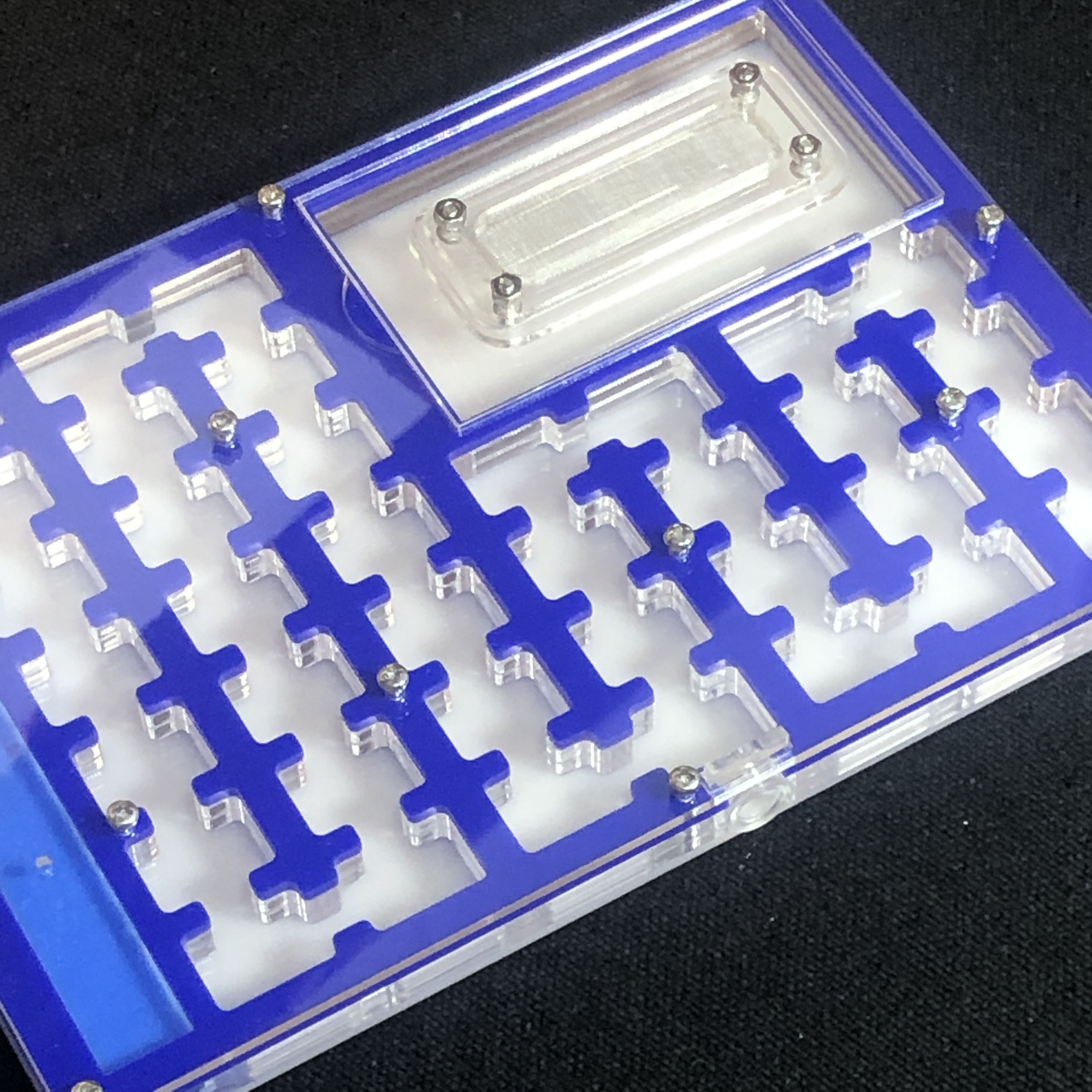 BIG Space Acrylic ant farm maze,Ant Nest with Feeding Area and moisturing zone Ant House for Pet Anthill