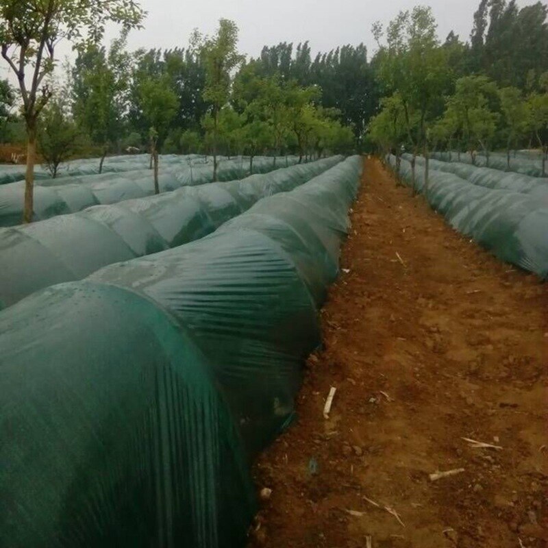 5 ~ 40m bredde :2m grønn planting film hage landbruk drivhus film planter omsorg beskytte dekke vegetabilsk ingefær vokse mulch film