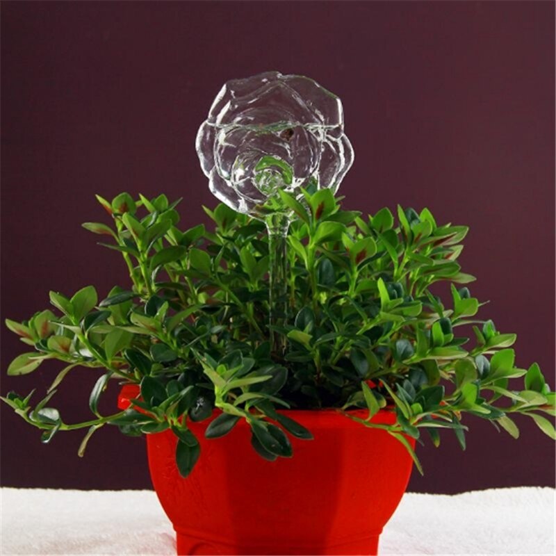 Plantevandingsindretning 6 former husplanter blomster vandføder automatisk selvvandende udstyr klar glas vandføder fugl