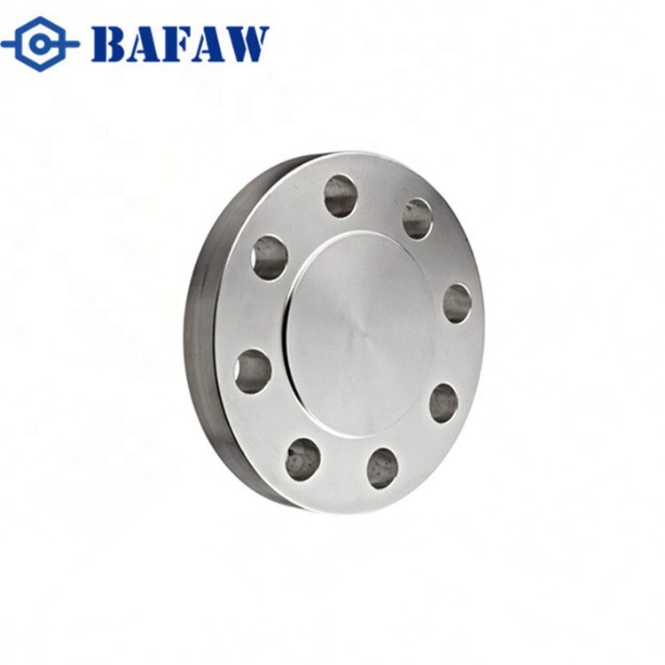 Stainless Steel Forged Flanges