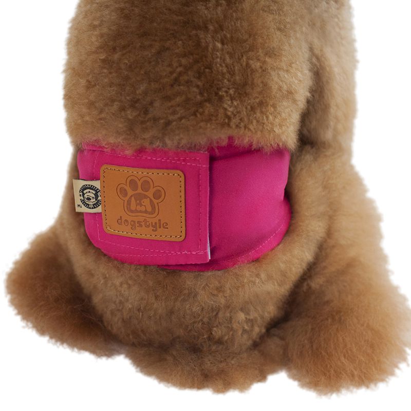 Puppy Pet Male Dog Physiological Pants Sanitary Underwear Belly Band Cotton Diaper Pet Suppliers