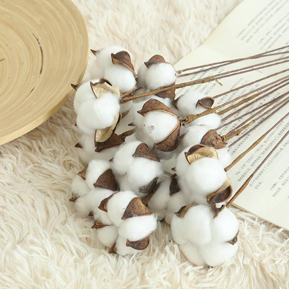 10Pcs Natuurlijk Gedroogd Katoen Bloem Kunstplanten Bloemen Korte Tak Voor Wedding Party Decoratie Nep Bloemen Home Decor
