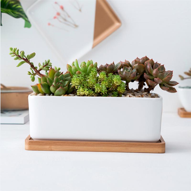 2 stk keramisk aflang urtepotte med bambusbakke sukkulent plantekrukke have bonsai potte urtepotte (hvid)