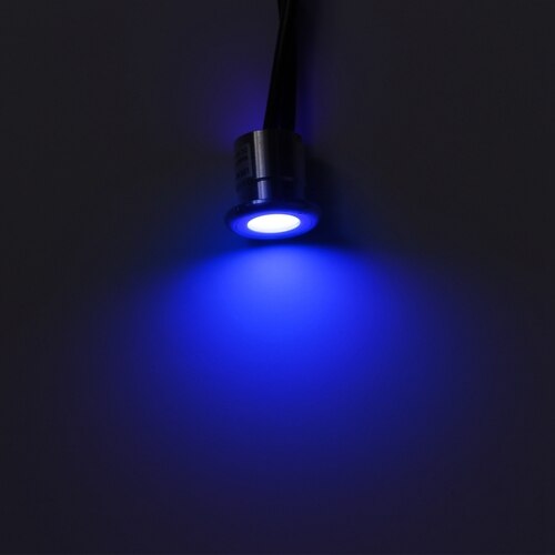 Stainless Steel Floor Lights Landscape Outdoor Path Light 12V LED Garden Lighting 0.8W Recessed Patio Pavers Light IP67: Blue