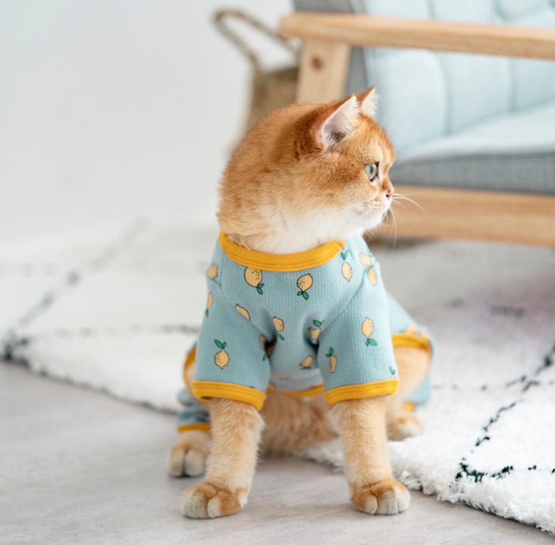Ropa de invierno para gatos, abrigo para cachorros y gatitos, chaqueta para perros pequeños y medianos, C