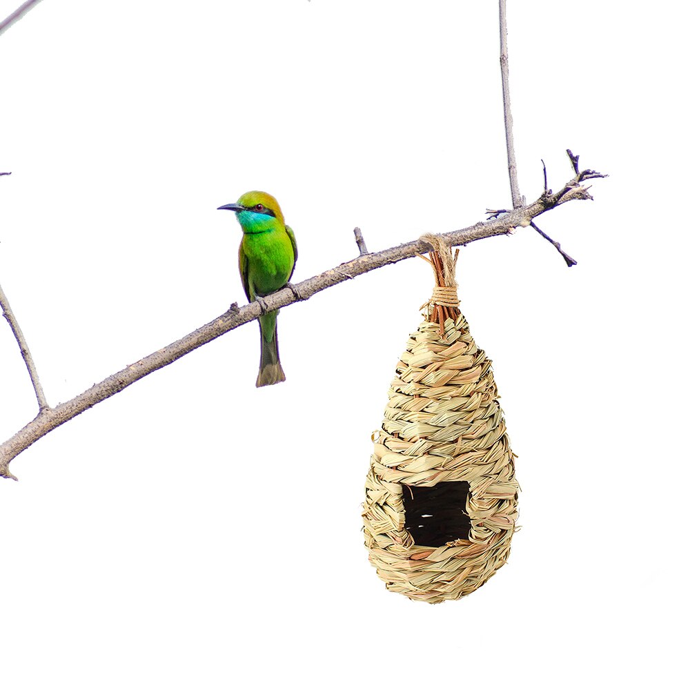 Sjovt mini ferrule legetøj til papegøje intelligens udviklingsspil farverige ringe fugl aktivitet træning legetøj: -en