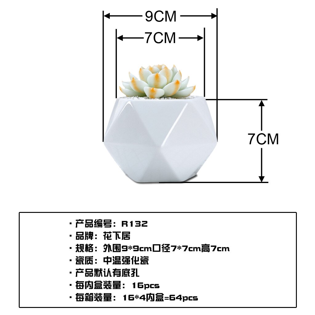 Maceta de flores suculentas de pentagonal con costura triangular de cerámica blanca creativa, maceta casera para Cactus Lithop con maceta de agujero inferior