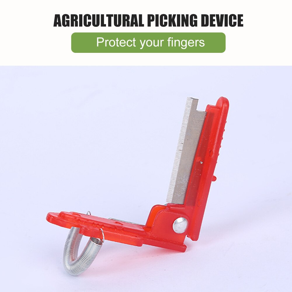 Agrarische Picking Apparatuur Fruit Plukken Apparaat Veilig Fruit Blade Tool Pinch Paprika Bonen Groente Guillotine Snijden Blade