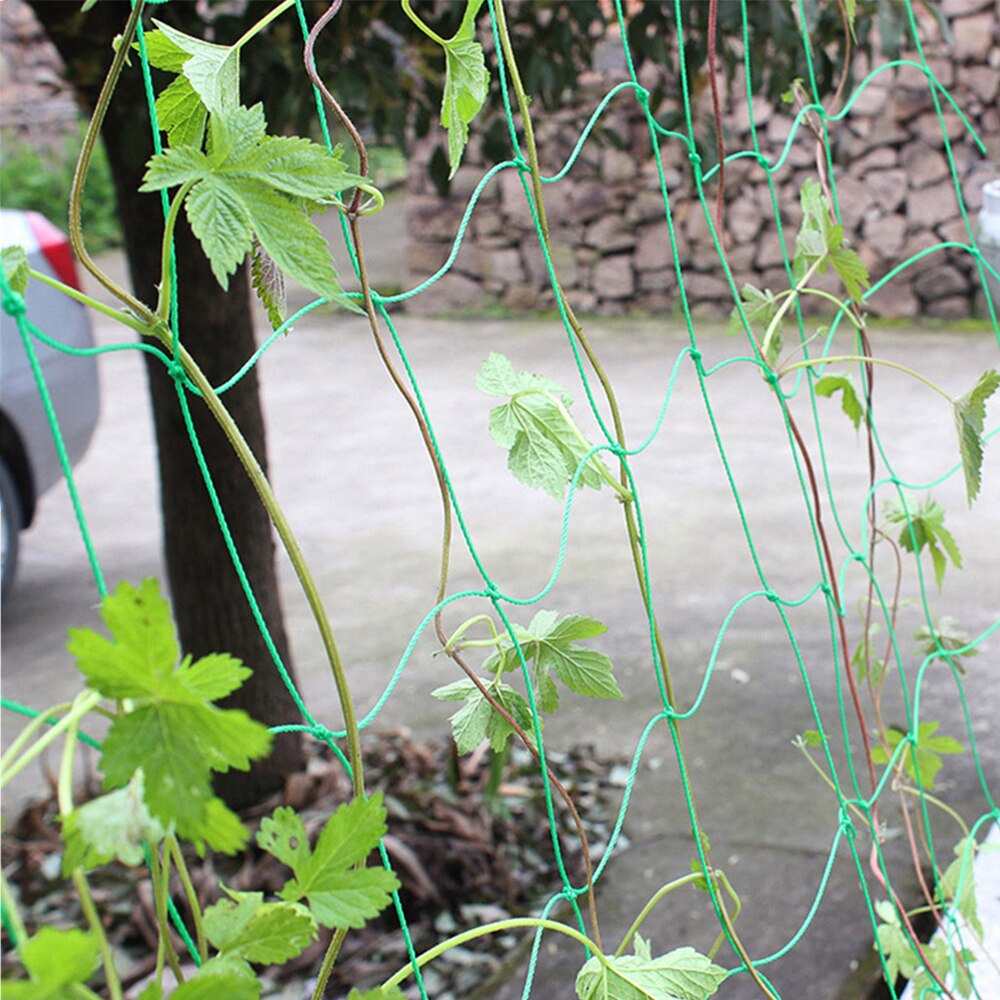 Havehegn nylon netto plantevækst klatreramme hegn gitter havearbejde netto vegetabilsk plante haveværktøj mesh vokse hegn