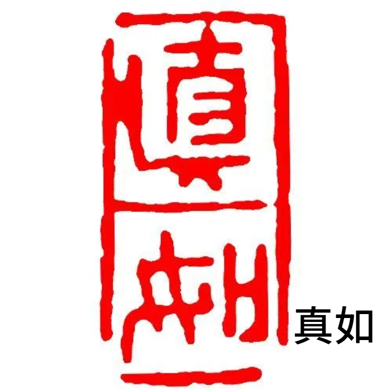 Afgewerkt Zegel Klein Formaat Draagbare Rechthoek Zegel Chinese Kalligrafie Schilderij Stempels Oude Stijl Natuursteen Afgewerkt Zegel: Oranje