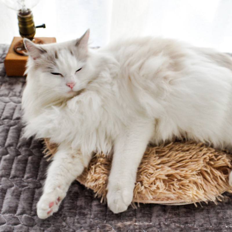 Manta eléctrica termostática de felpa con USB para mascotas (no incluye fuente de alimentación), almohadilla térmica de conservación de energía para gatos