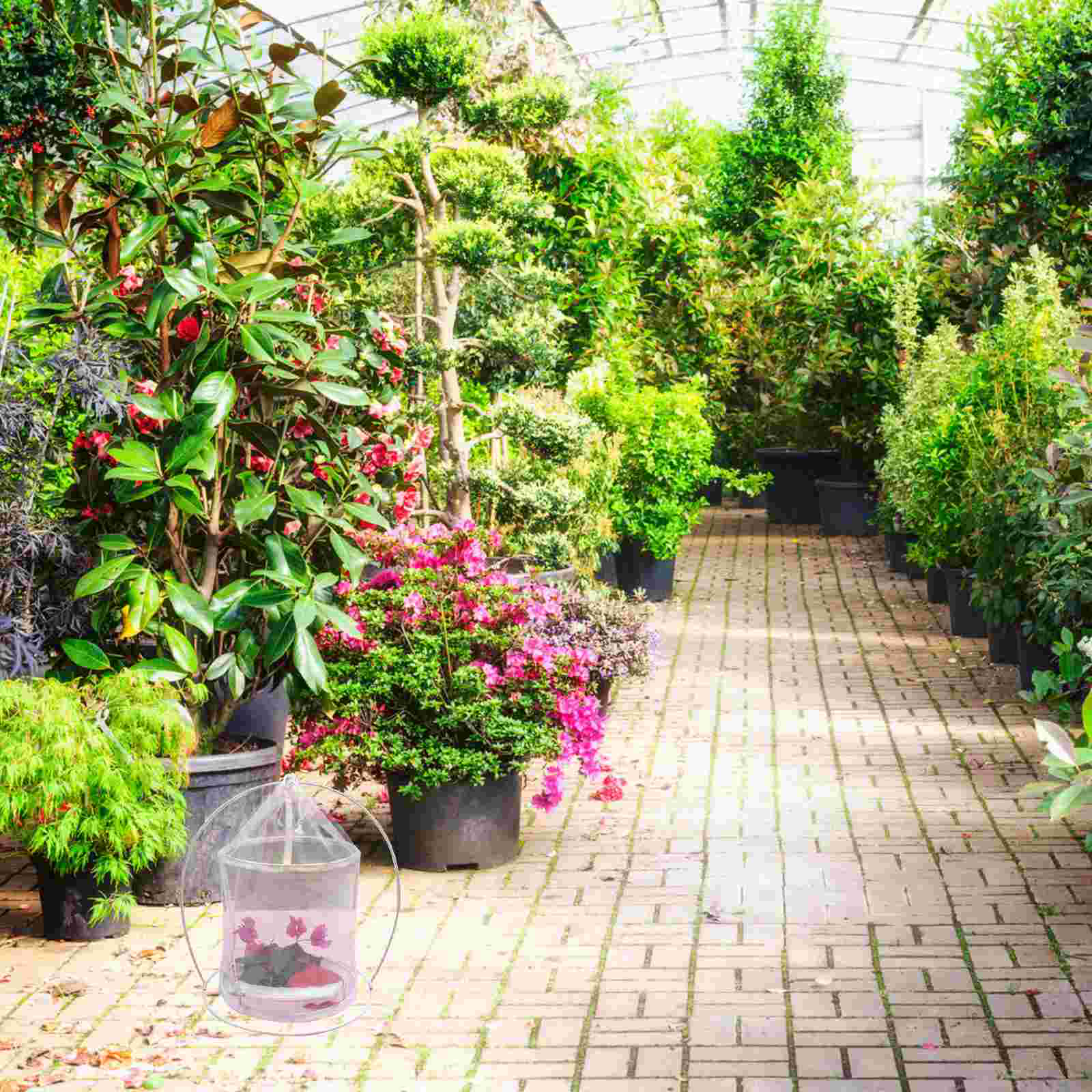 Insects Breeding Accessory Breathable Observation Cage Insect Cage Foldable Insect Cage