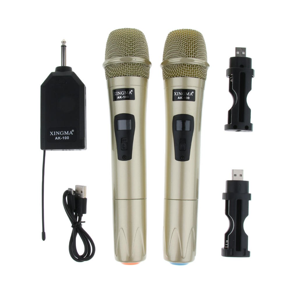 1 Set High Sensitivity Wireless Microphone Mic Mike w/ Receiver USB Cable