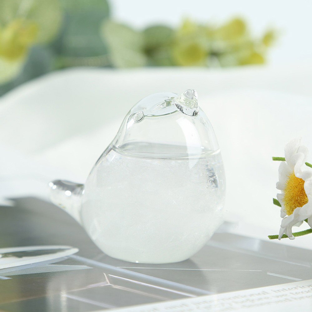 Verre de tempête Transparent, verre de météo, Station de prévision, baromètre, prévision météo, bureau décoratif