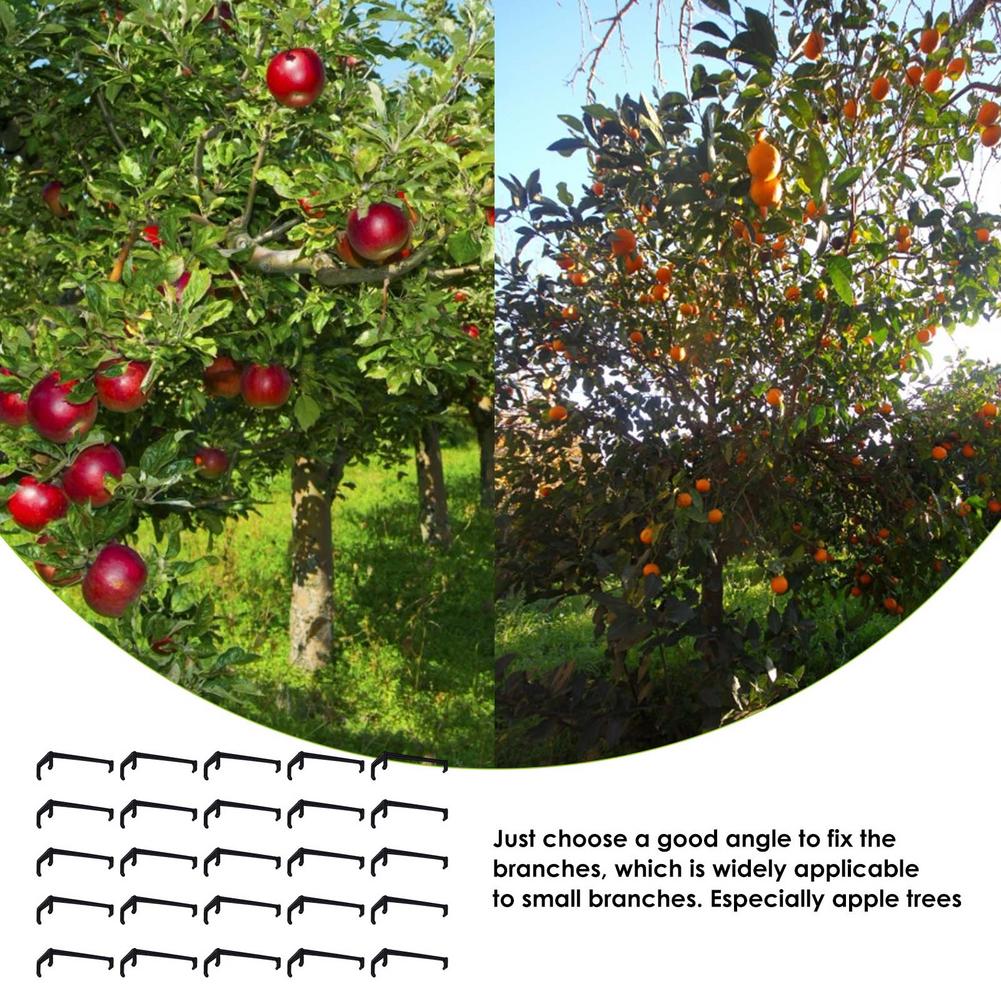 Fruit Branch Spreader Tree Branch Support Frame Support The Growth Of Branches Branch Support For Garden Gandening Tool