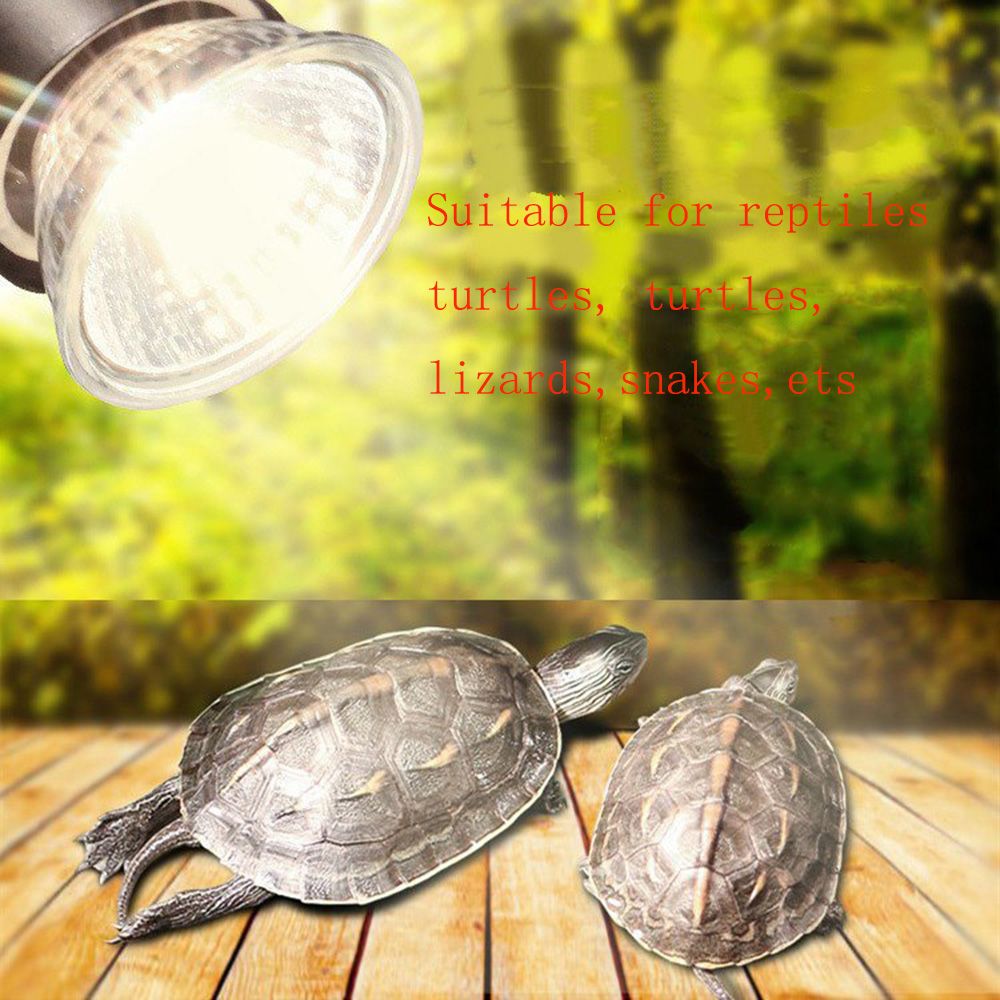 25/50/75W UVA+UVB 3.0 Reptile Lamp Bulb Turtle Basking UV Light Bulbs Heating Lamp Amphibians Lizards Temperature Controller