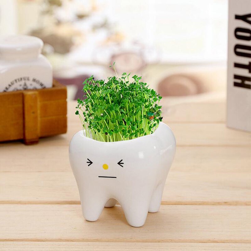 1Pc diente olla de forma Bonsai maceta de cerámica DIY pequeño balcón decoración plantas suculentas blanco macetas de suculentas: YL
