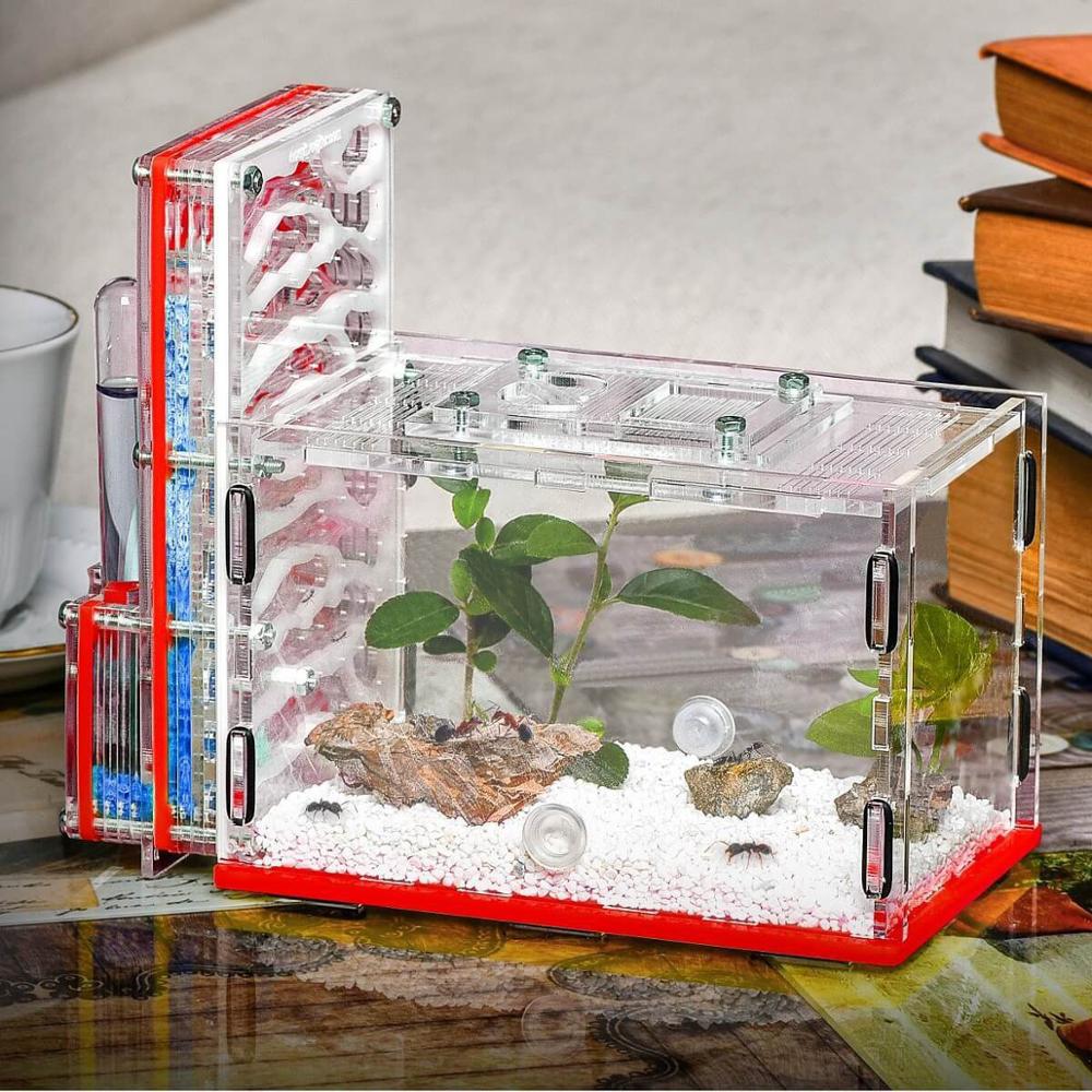DIY With Feeding Area Ant Nest ,Large Acrylic Ant ... – Vicedeal