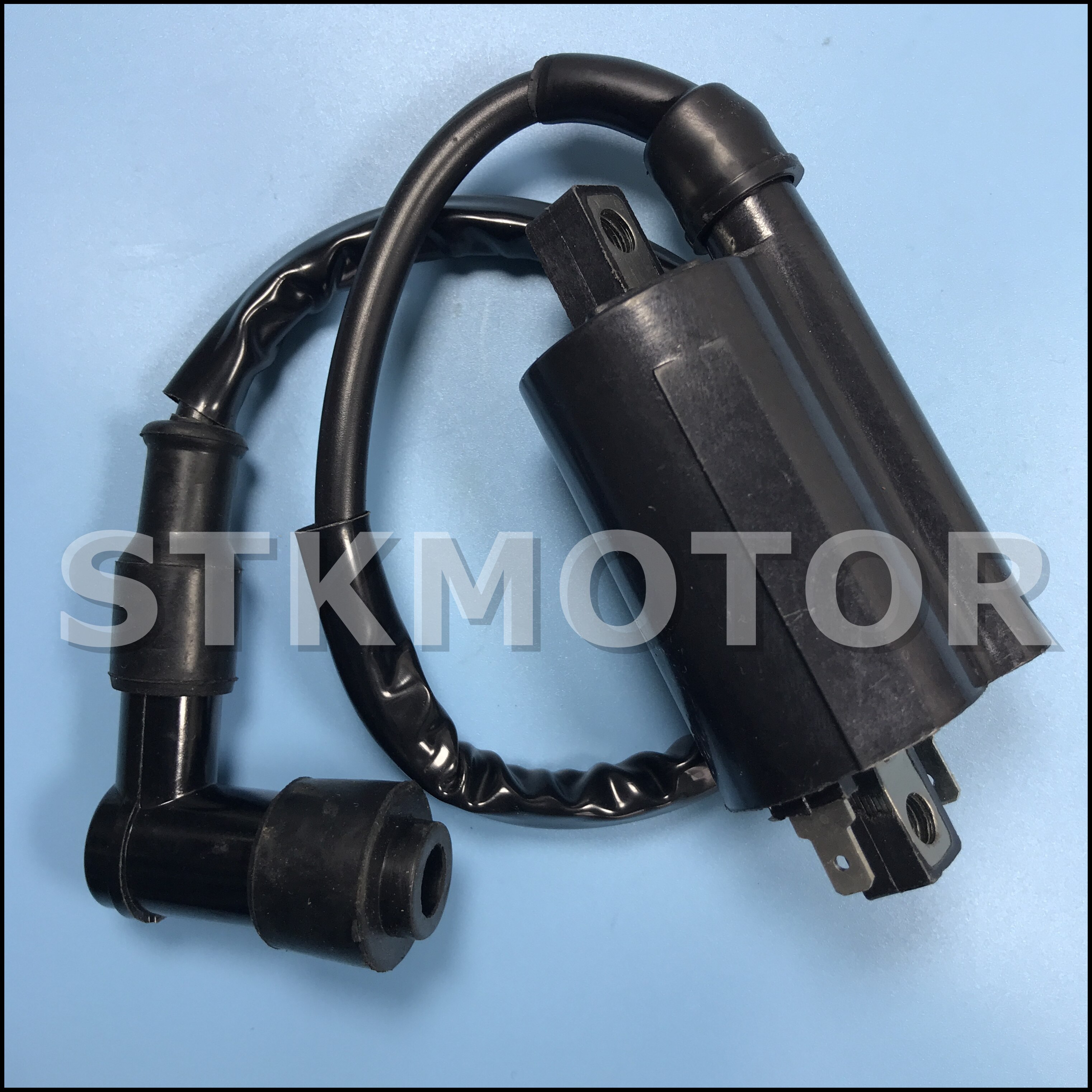 High Performance Motorcycle Ignition Coil for Buyang Feishen Linhai 260 260cc 300cc D300 G300 ATV Parts