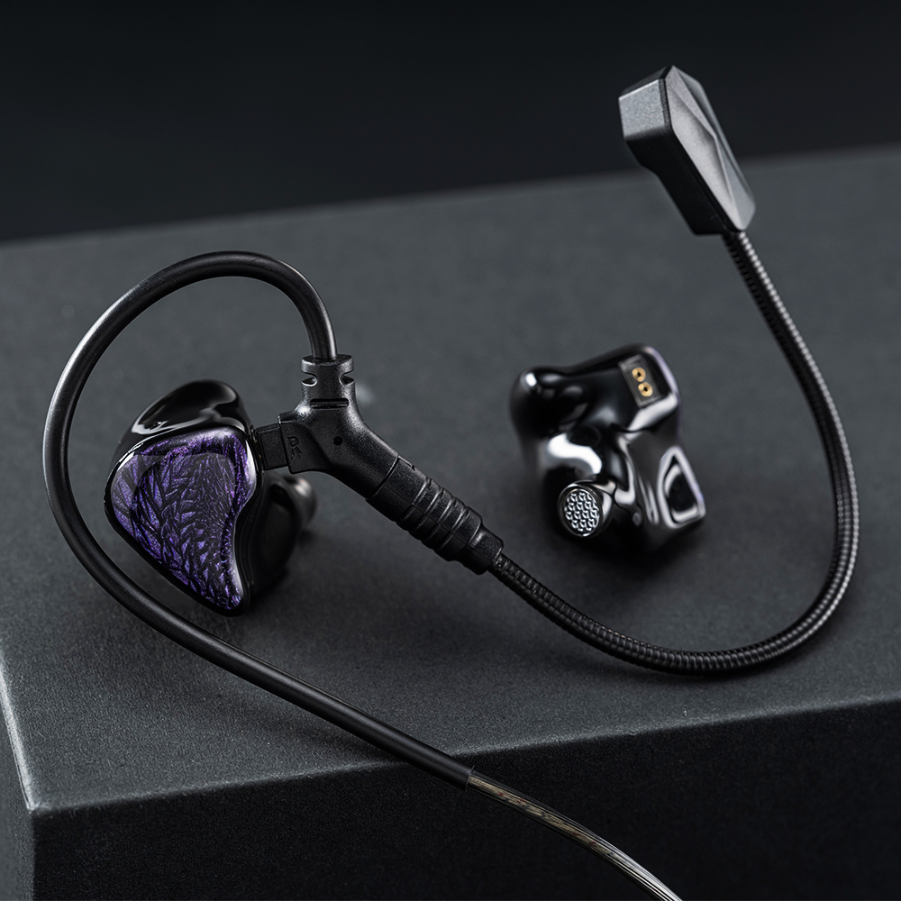 Kinera Celest Wyvern Czarne słuchawki douszne 10 mm LCP Dynamiczny sterownik z odłączanym mikrofonem wysięgnikowym Kabel IEM Słuchawki audio