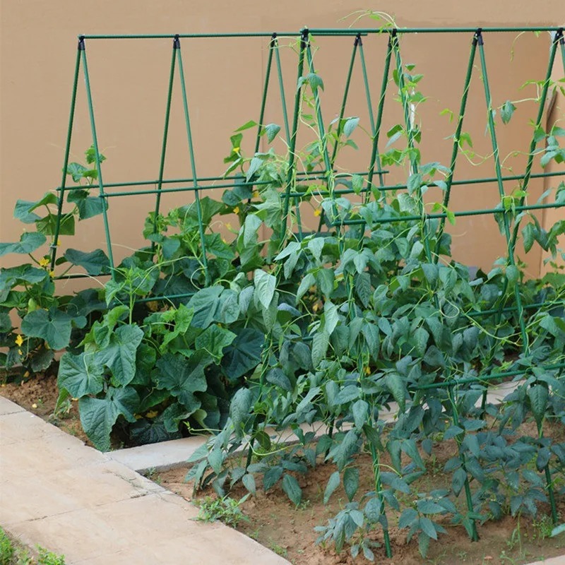 Klimrek, bloemenrek, bonenrek, groenterek, klimrek voor tuinplanten, tuinpaal