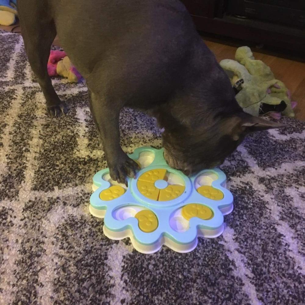 Juguetes de rompecabezas para perros aumento IQ juguetes interactivos para perros interesante no aburridos dispensador de golosinas para cachorros pequeños medios suministros para perros mascota