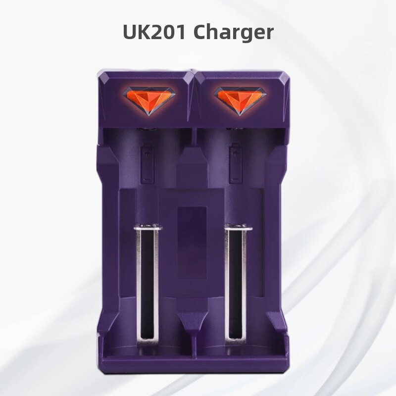 Doublepow F6 Gum Rechargeable Battery Charger/suit for Portable CD Player Charger/suit UK201 2 Gum Batteries: UK201 Charger