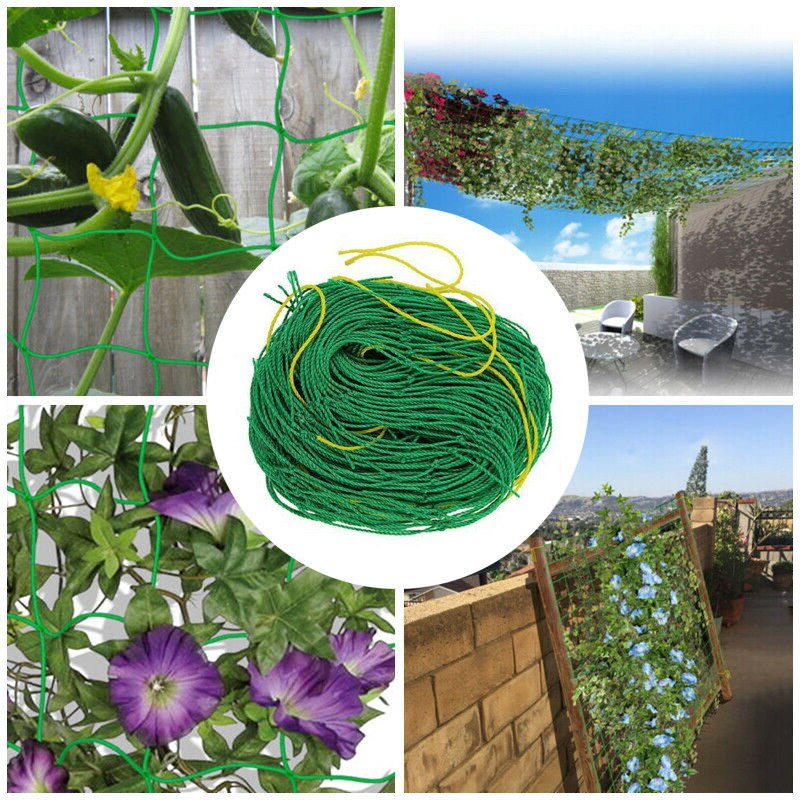 mesh klatrestativ nett hage trellisr nett loofah netting til morgen ære vintre blomster planter nett agurk vinstokk vokse holder