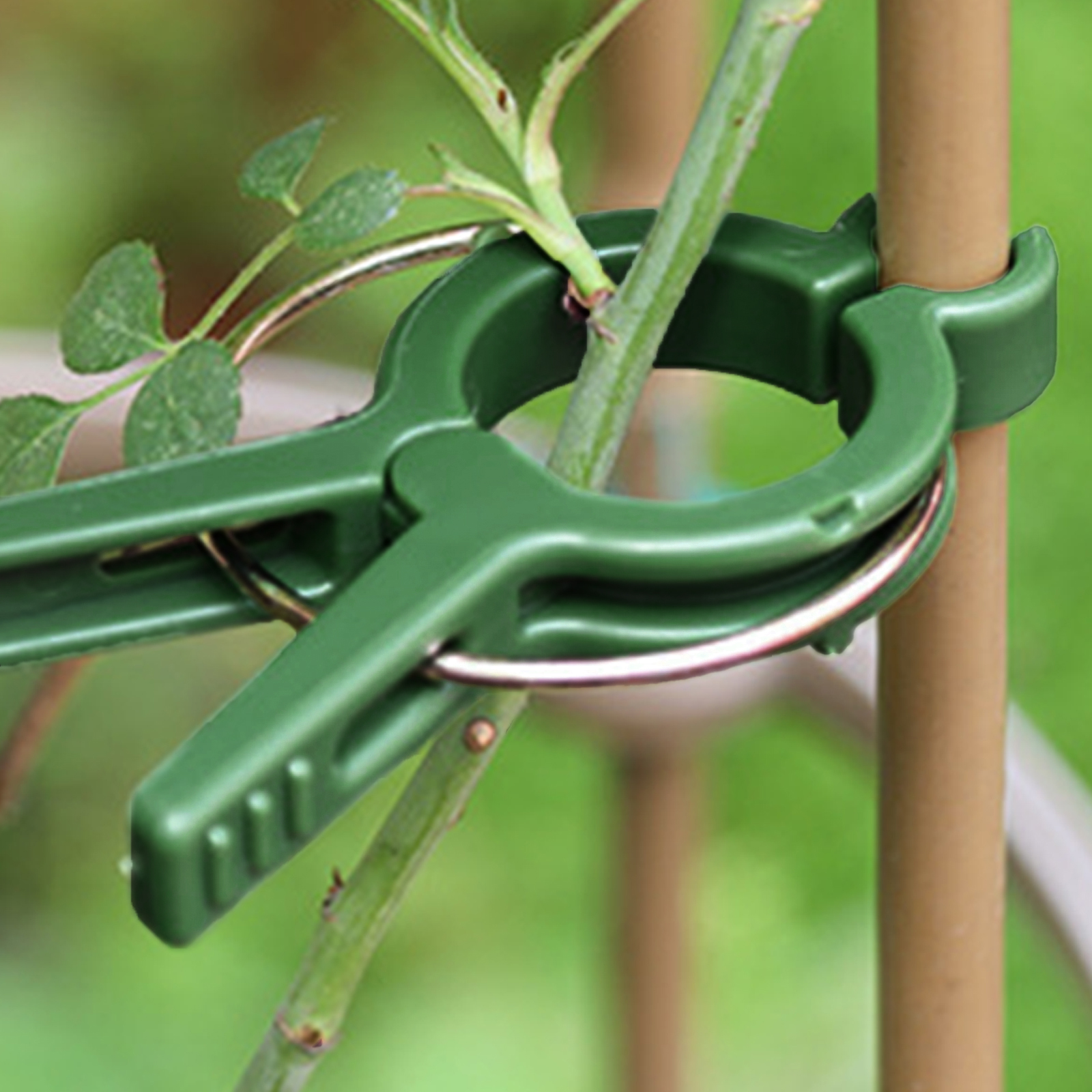 Clips de support en plastique pour plantes de jardin, sécurise les plantes pour éviter l'emmêlement des plantes rapidement et facilement