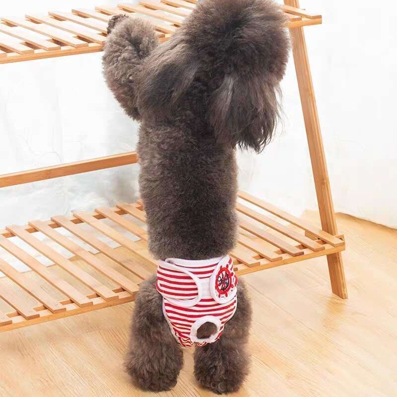 Pet Shorts For Female Dog Sanitary Panties for Dogs Diapers Small Dogs Shorts Cotton Dog Physiological Pants Sous Vetement Femme