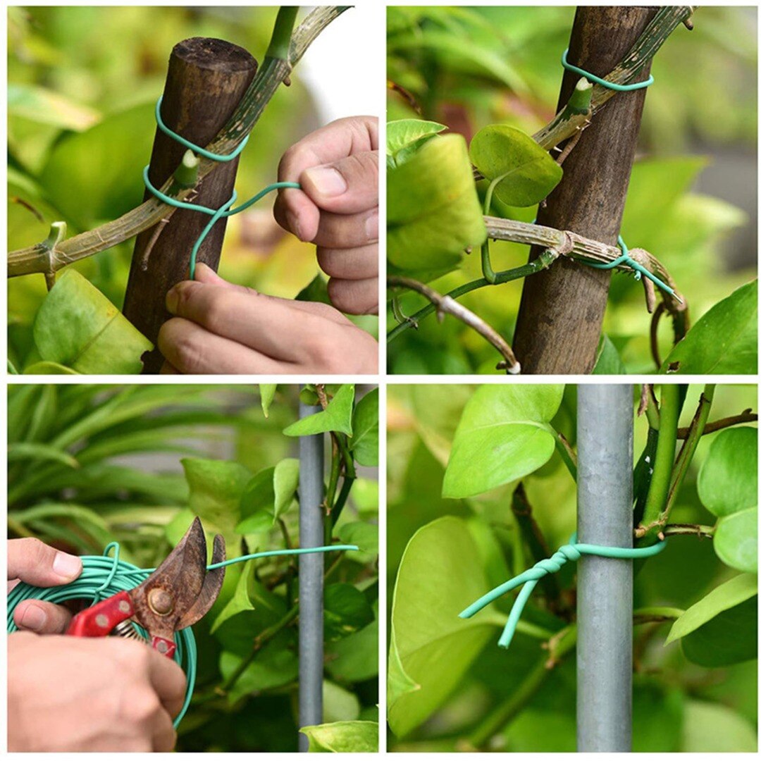 Attache de plante grimpante de vigne, câble de jardinage, fil de fixation pour plantes en rotin, câbles de Support de jardin souples et flexibles