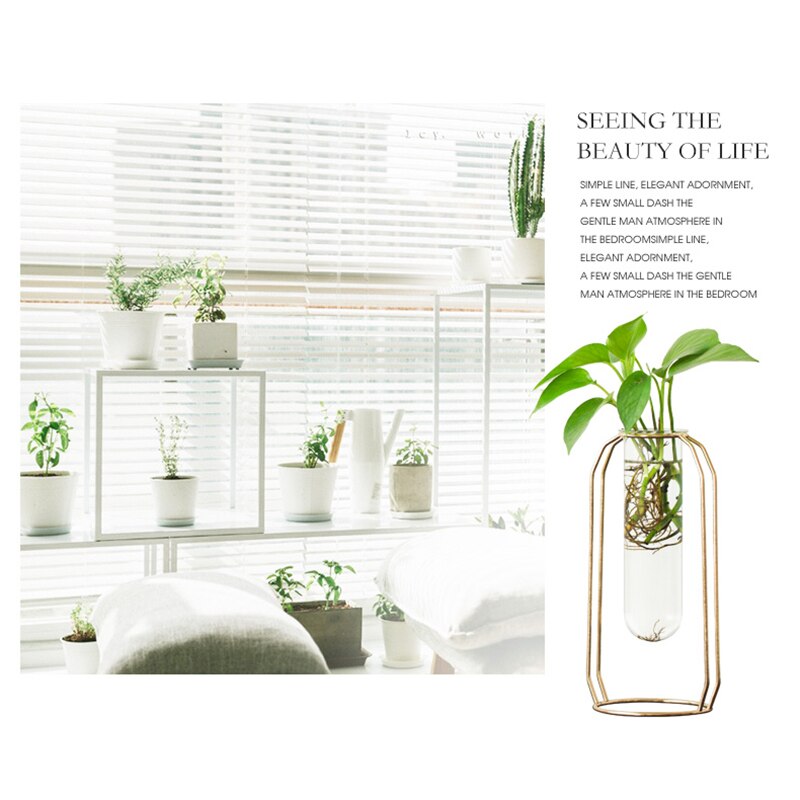 Nordic Glass Cuvette Vase Modern Gold Plated Iron Flower Vase Plant Vase Terrarium Room Home Wedding