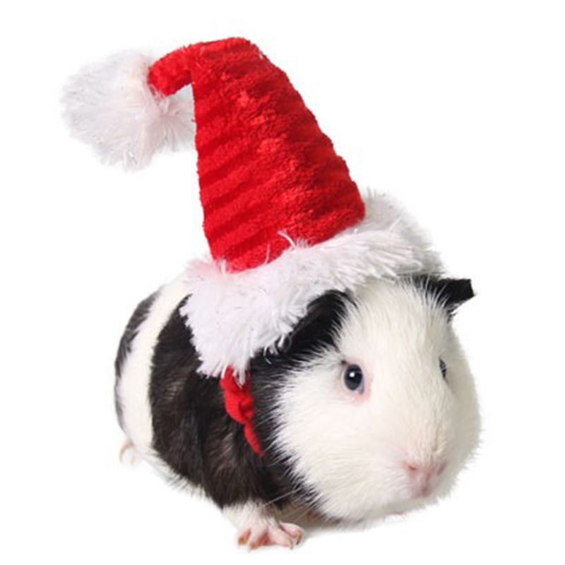 Sød, justerbar jul hat med elastik til hamster til marsvin kaniner  lx9c