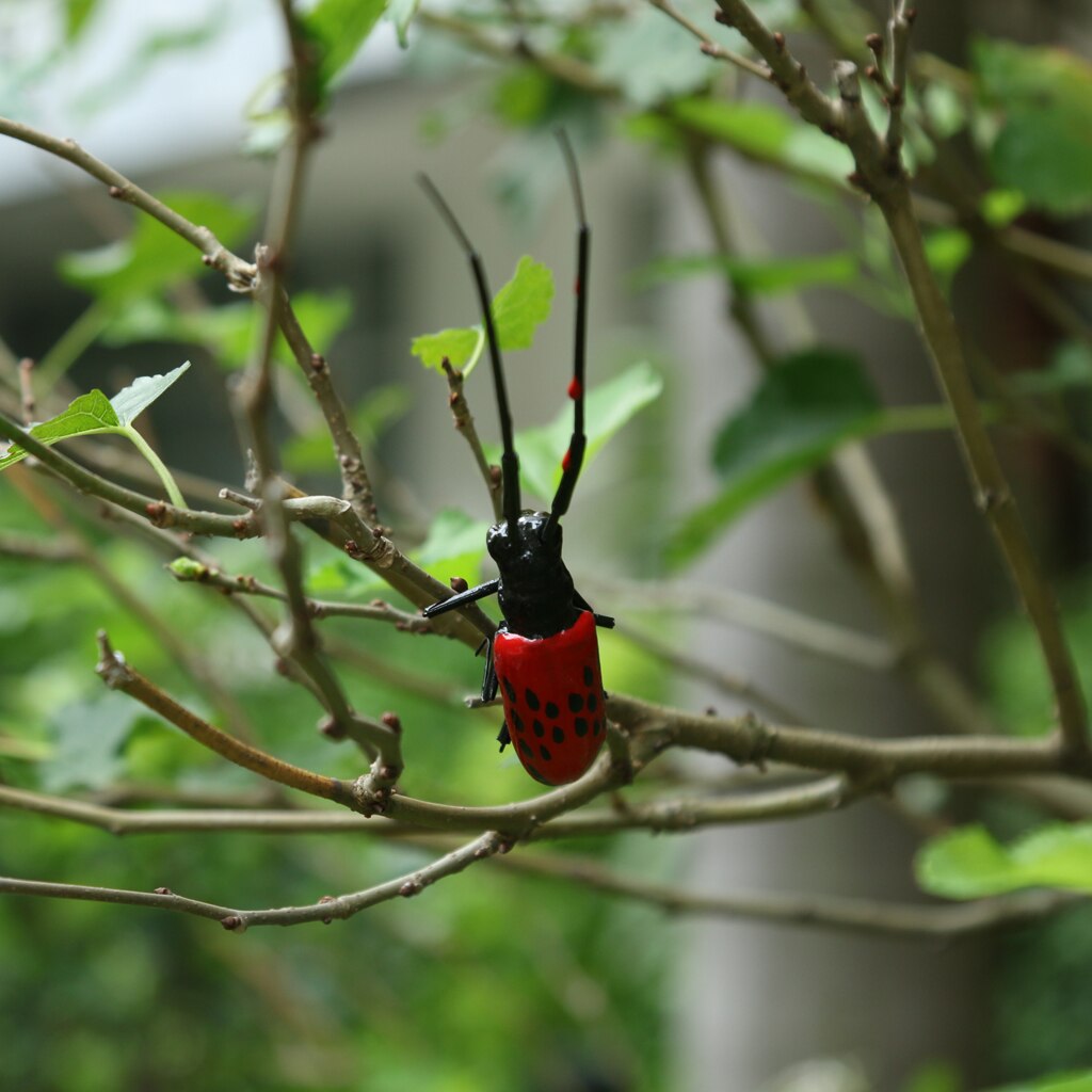 Mini Insects Wild Animal Bug Figurines Insects Toy Play Kid Toy